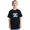 T-shirt à manche courte DC Star Filled pour enfants