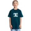 T-shirt à manche courte DC Star Filled pour enfants