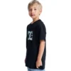 T-shirt à manche courte DC Star Filled pour enfants